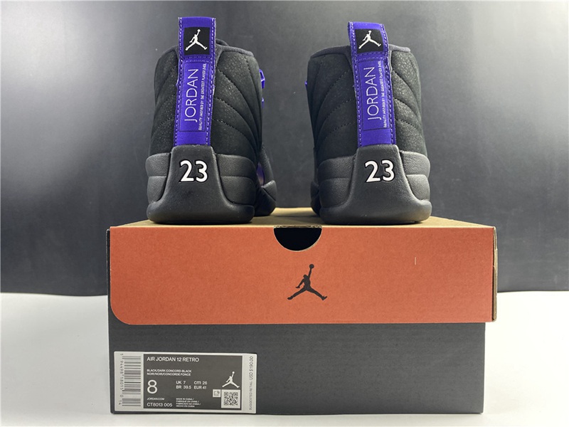 Air Jordan 12 Dark Concord(CT8013-005)